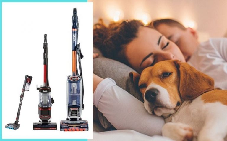Which Shark Vacuum Is Best For Pet Hair In The UK?