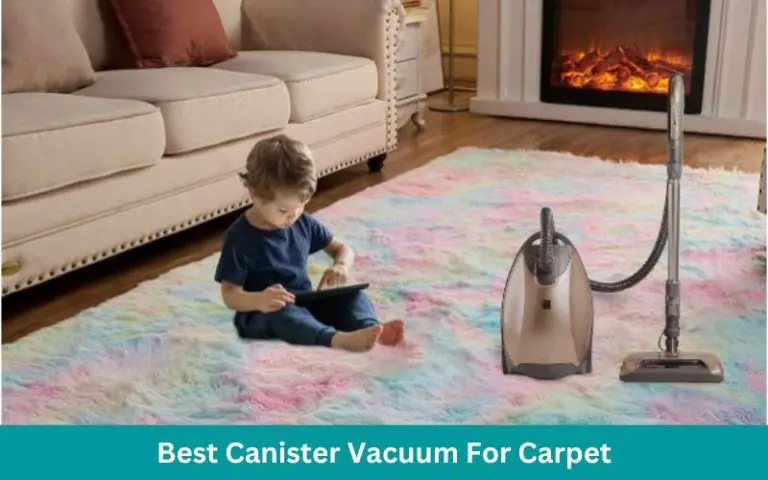 3 Best Canister Vacuum For Carpet (Reviews & Comparison)