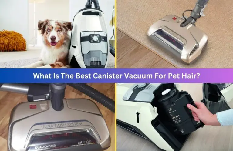 Best canister vacuum for pet hair
