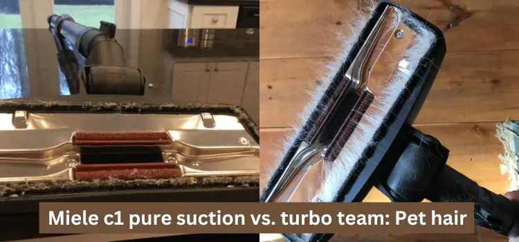 Miele c1 pure suction vs. turbo team Pet hair 